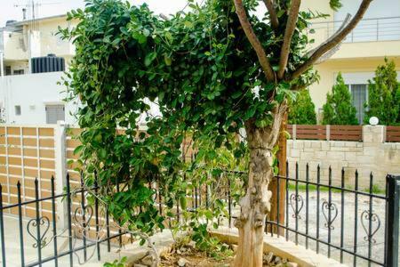 Appartamento Sun By The Sea 2 Agia Pelagia  Esterno foto